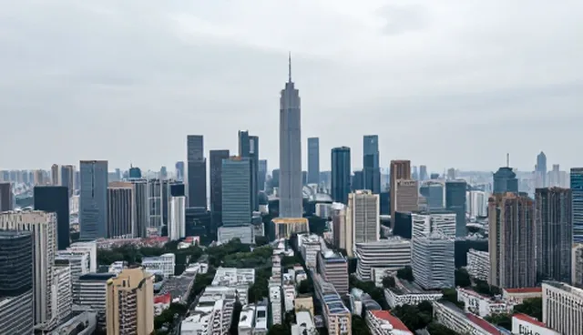 企业名录查询中数据准确性问题及处理方法